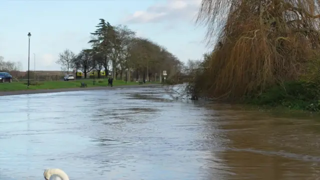 High flood water in a park