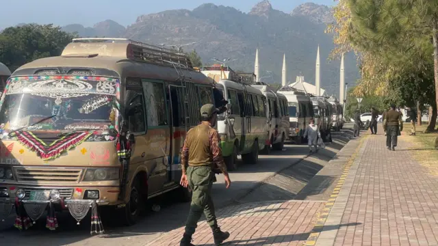 A line-up of coaches