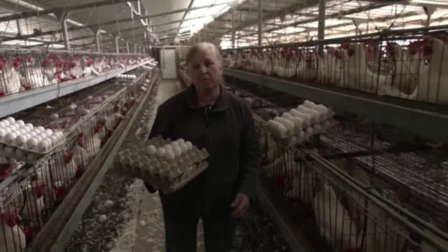 Maman holds a box of eggs in a chicken pen