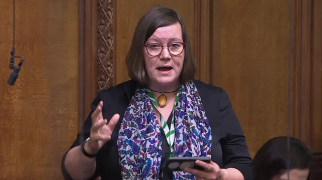 Dame Meg Hillier speaking in the Commons