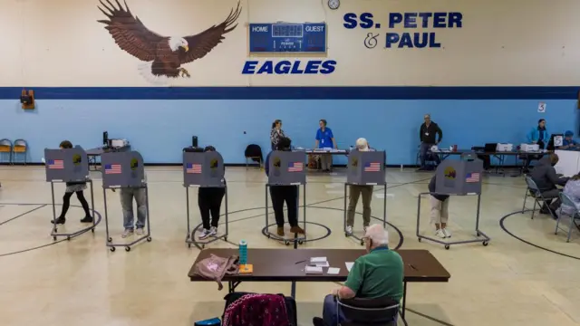 People stand behind voting booths at a gymnasium in Michigan. There are American flags on each of the booths.