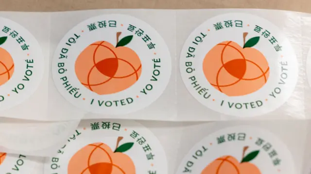 An abstract peach illustration on a round white sticker is surrounded by green text that reads "I voted" in various languages