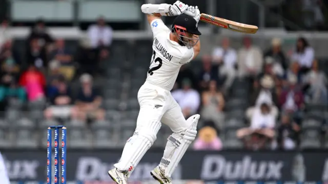Kane Williamson on strike