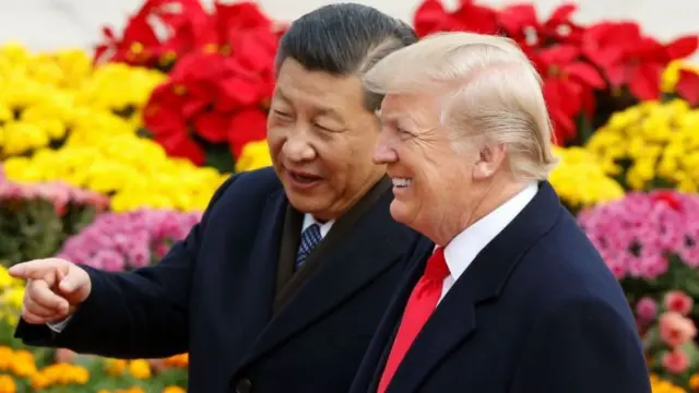 Donald Trump and Xi Jinping stand in front of a flower garden; Xi points and Trump laughs