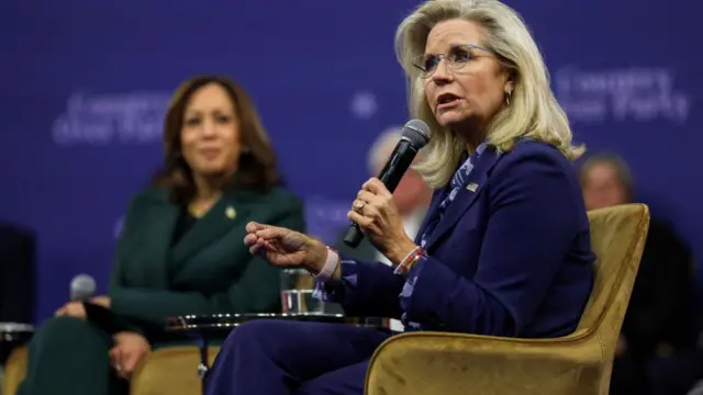 Liz Cheney spoke during a town hall held by Kamala Harris