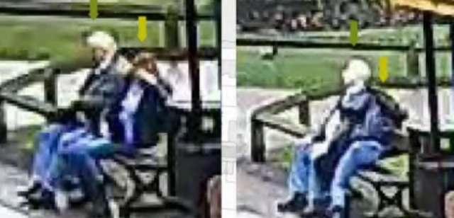 Two CCTV images side-by-side of people sitting normally then slumped over on a bench, with grassy area around it