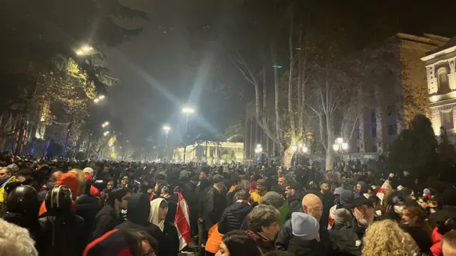 A large number of protesters gather in Tblisi