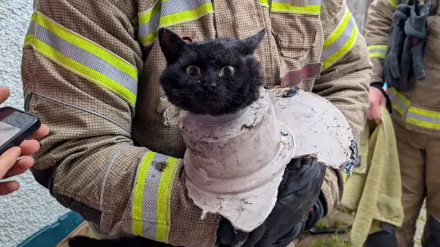 A car stuck in a section of drainpipe which has been cut off, so while the cat is still stuck, she is able to be held by a firefighter