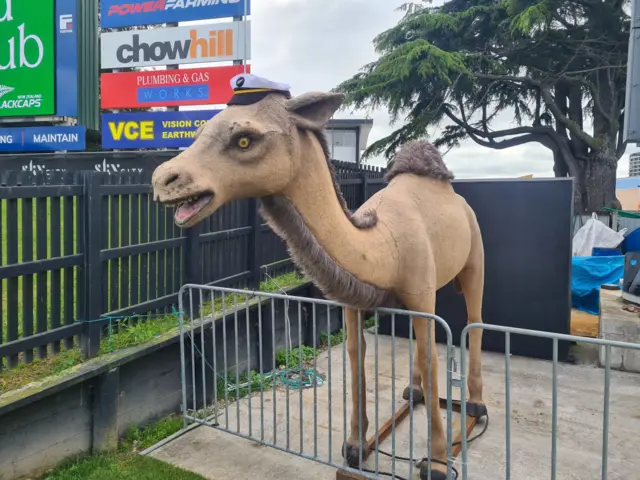 A camel statue in reference to New Zealand player Tim Southee's nickname 'The Sexy Camel'