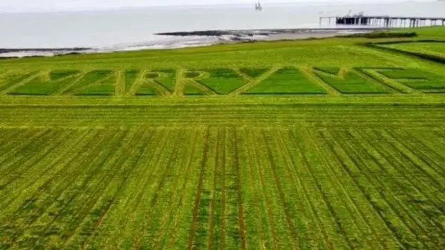 Green field with words MARRY ME mowed into grass. A sandy beach and small pier are visible in the background.