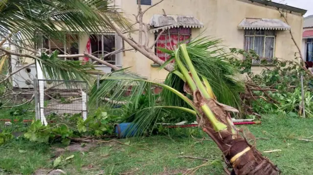 A downed palm tree and other debris litter the front garden of a home in Agalega