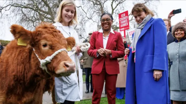 A brown Limousin calf stand next to a short-haired blonde farmer in a white coat during a photocall outside of Parliament. Next to the farmer, at the centre of the picture, is Kemi Badenoch in a red pantsuit with white shirt holding her hands together in front of her as she smiles. Tory MP Victoria Atkins is on her left wearing a long electric blue coat and a grey scar while protesting farmers and fellow MPs stand in the background