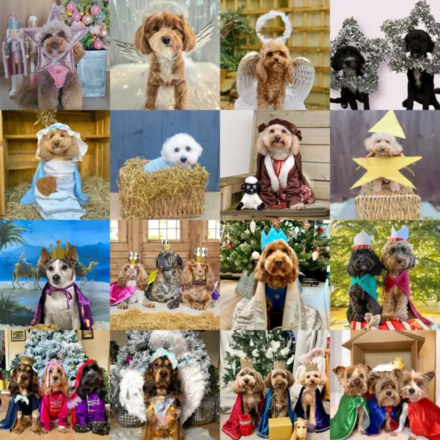 24 pictures of dogs in different nativity outfits, including the three kings as cockapoos, and a cavalier as angel gabriel