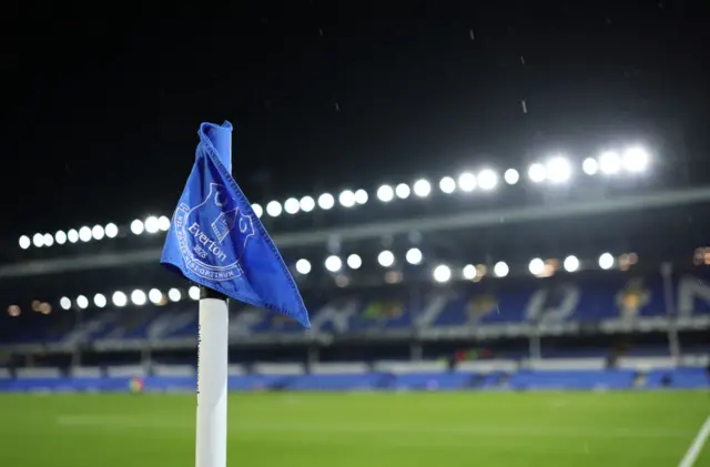 A picture of the Everton flag with the pitch behind it