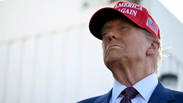 President-elect Donald Trump on the right hand side of the picture in blue suit, just his head and shoulders on display, wearing a red Make America Great Again cap