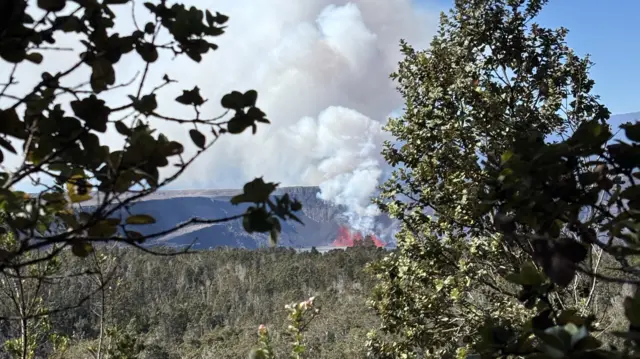 Kilauea eruption from a distance. Clouds of white smoke can be seen billowing from the crater as a fountain of lava spews into the air. Trees and shrubs can be seen in the foreground