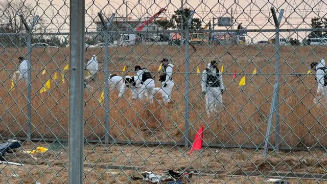 An image taken through metal gates. Workers dressed in white forensics suits search the ground. A number of yellow flags stand in the ground along with a couple of red flags