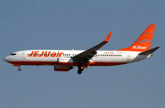 A Jeju Air plane in flight with "Jeju Air" and "HL8088" visible on its body