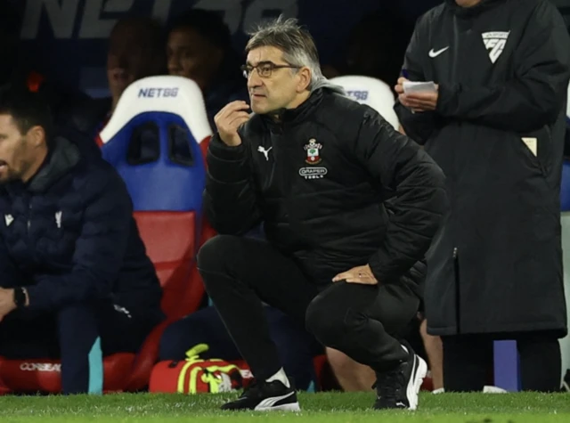 Southampton manager Ivan Juric looks on