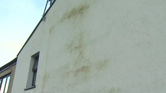 Green marks appeared on the outside of homes