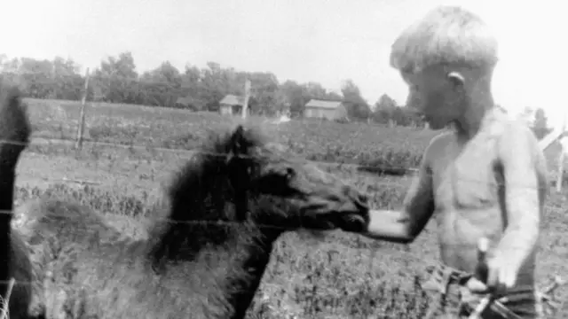 A photo showing Carter as a child feeding a baby horse on a farm.