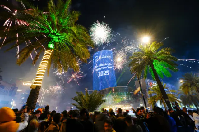 Fireworks in the sky, behind palm trees. A large crowd is visible in the bottom of the picture