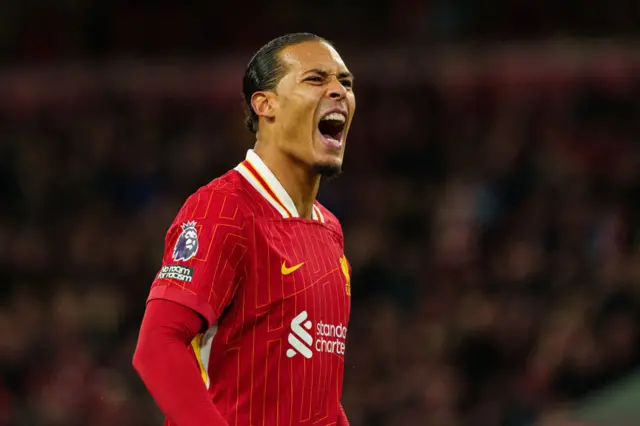 Virgil van Dijk celebrates