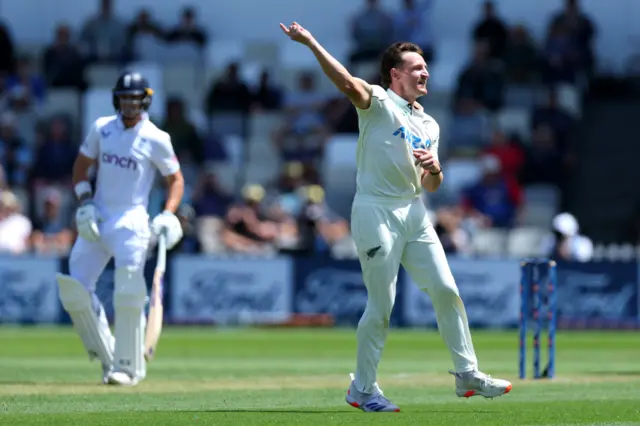 Nathan Smith celebrates the wicket of Joe Root