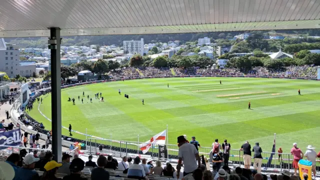 The view from the stands at Wellington