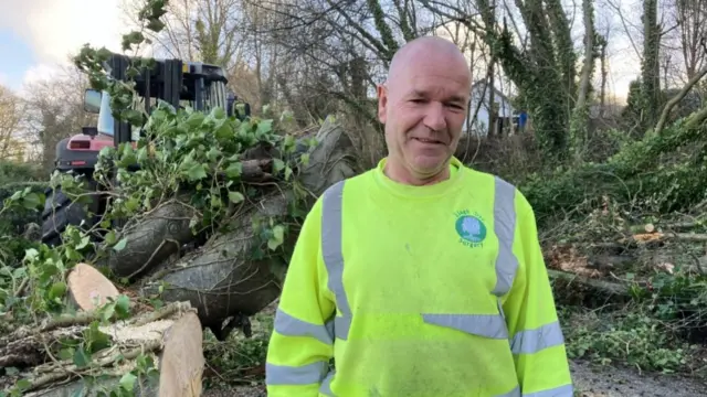 A man wearing a yellow high visibility sweater is standing in front of fallen tree which has been cut into pieces