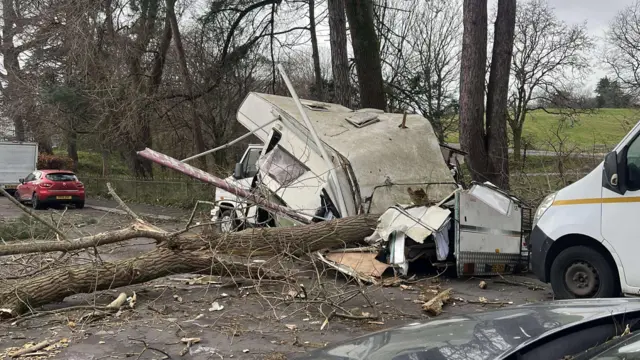 A fallen tree is seen on top of a caravan parked on the road. The caravan has been crushed by the weight of the tree.