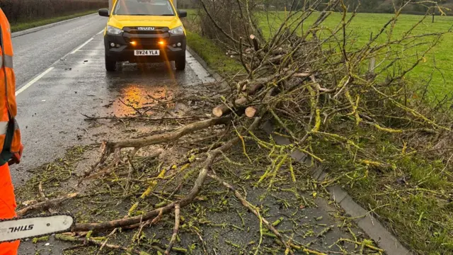 A fallen tree and a man with a chainsaw