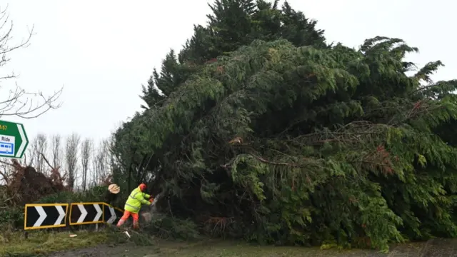 Workers cut a fallen tree blocking the slip road to the M1 to Belfast on December 7, 2024 in Ballyclare, Northern Ireland