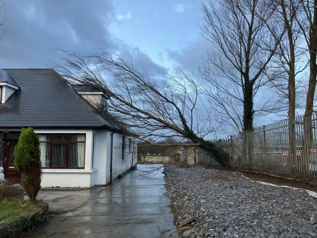 White house with a tree lying across roof