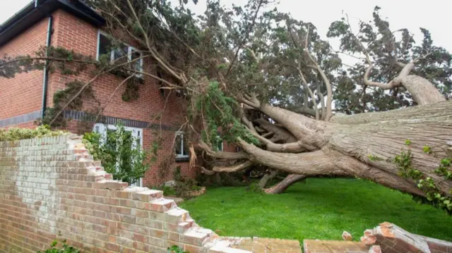 A tree has blown over on top of a house