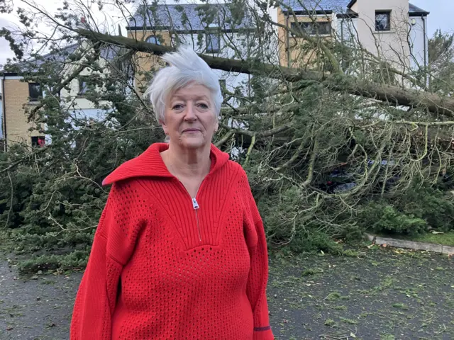 Ann Glasgow in red jumper with large fallen tree in background