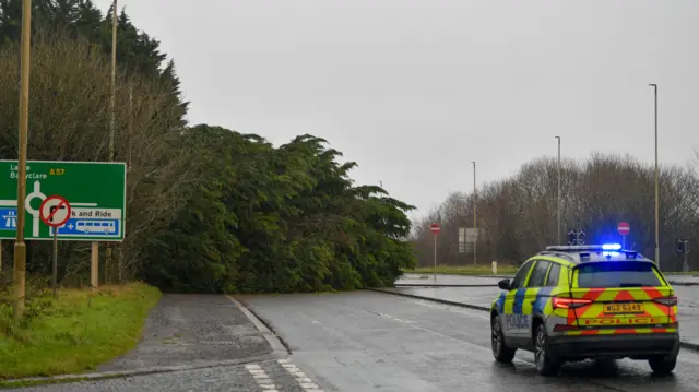 A large tree lying across the road with a police car with its lights on parked in front of it. A road sign showing directions to Larne and Ballyclare to the side of the road