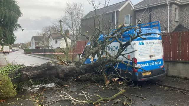 A large tree fallen onto a van parked at the side of the road. There is visible damage to the roof of the van. Behind it are houses.