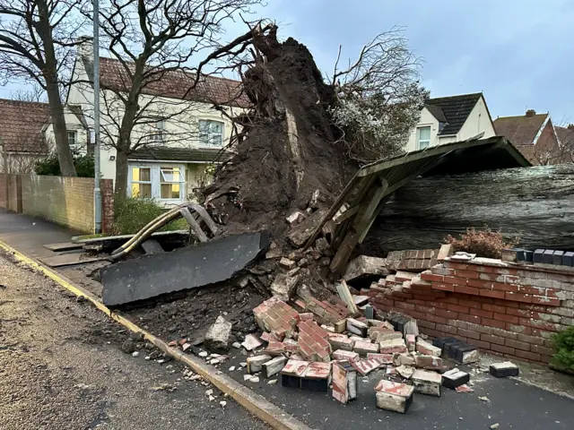 A collapsed wall and ripped up pavement caused by a fallen tree.