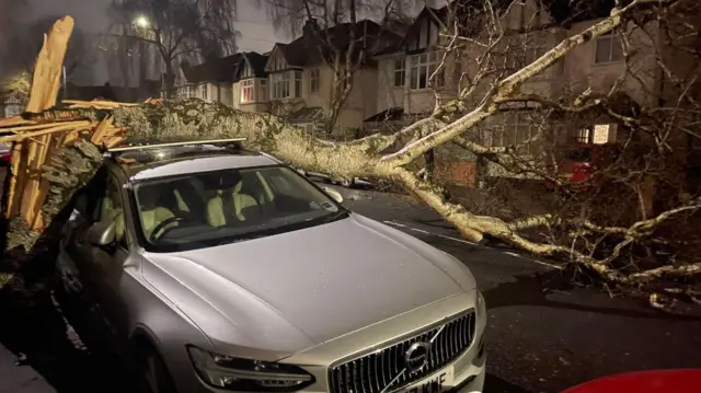 A tree, cracked at the trunk, laying over a family car