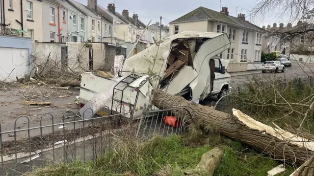 Mobile home van crushed by tree in road with houses behind.