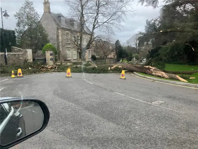 Tree fallen across road near Wells Cathedral School