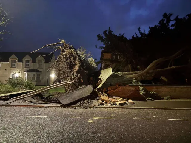 A large fallen tree on a brick wall. The brick wall has been damaged as a result. Parts of the pavement are ripped up.