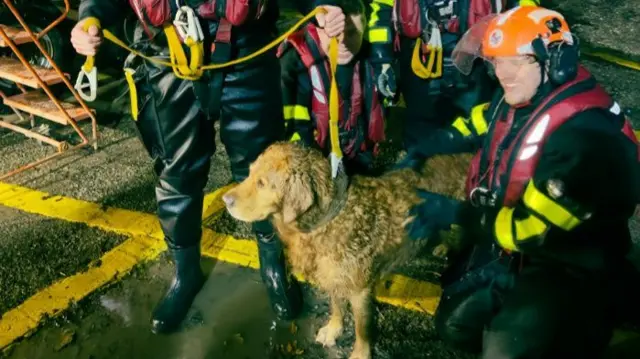 Buddy is held on a lead - he is sandy coloured, but covered in mud. One of his rescuers kneels down next to him, smiling.