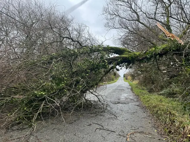 Maenclochog