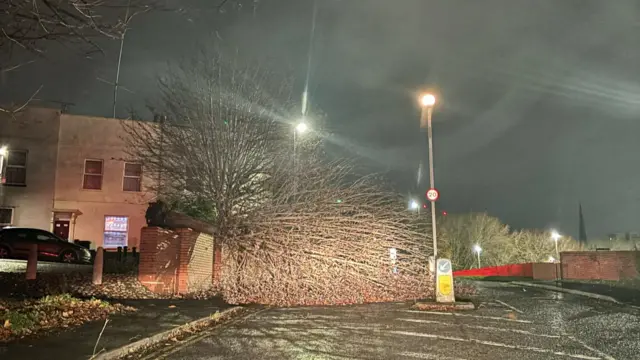 A fallen tree outside the road that leads to the main entrance to Asda Bedminster in Bristol