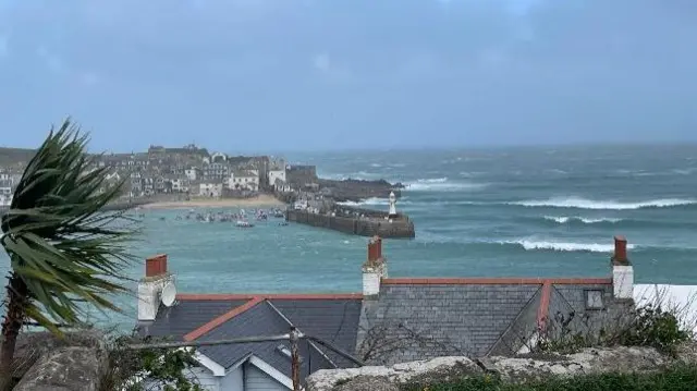 A view looking over a palm tree roofs of houses towards choppy conditions in the sea. There is a sea wall, a beach and houses pictured in the background.