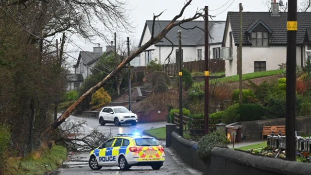 Police car with closed off road as large tree branch has fallen onto electricity wires