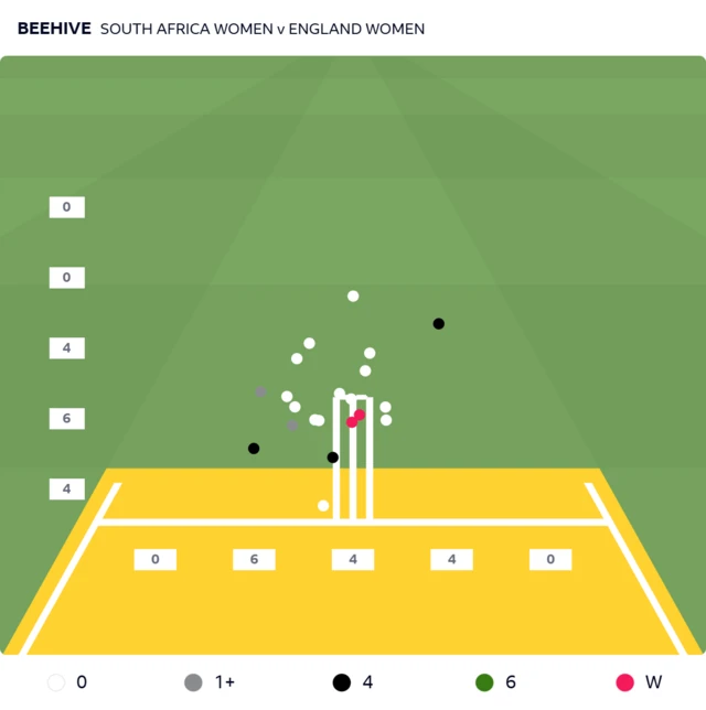 Cricviz beehive graphic