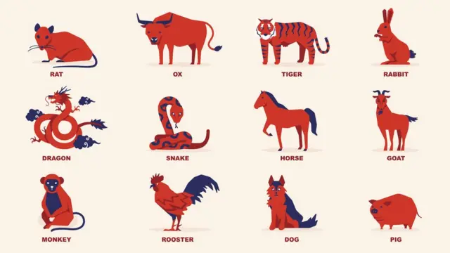 A graphic shows the 12 different animals, which feature in the Chinese zodiac: Rat, Ox, Tiger, Rabbit, Dragon, Snake, Horse, Goat, Monkey, Rooster, Dog and Pig